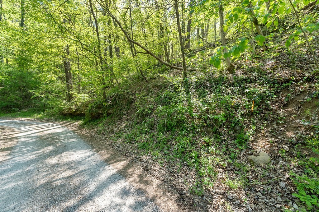 588 Austin Bottom Road Baxter, TN 38544 - Photo 12 of 15 Gallery Image 12