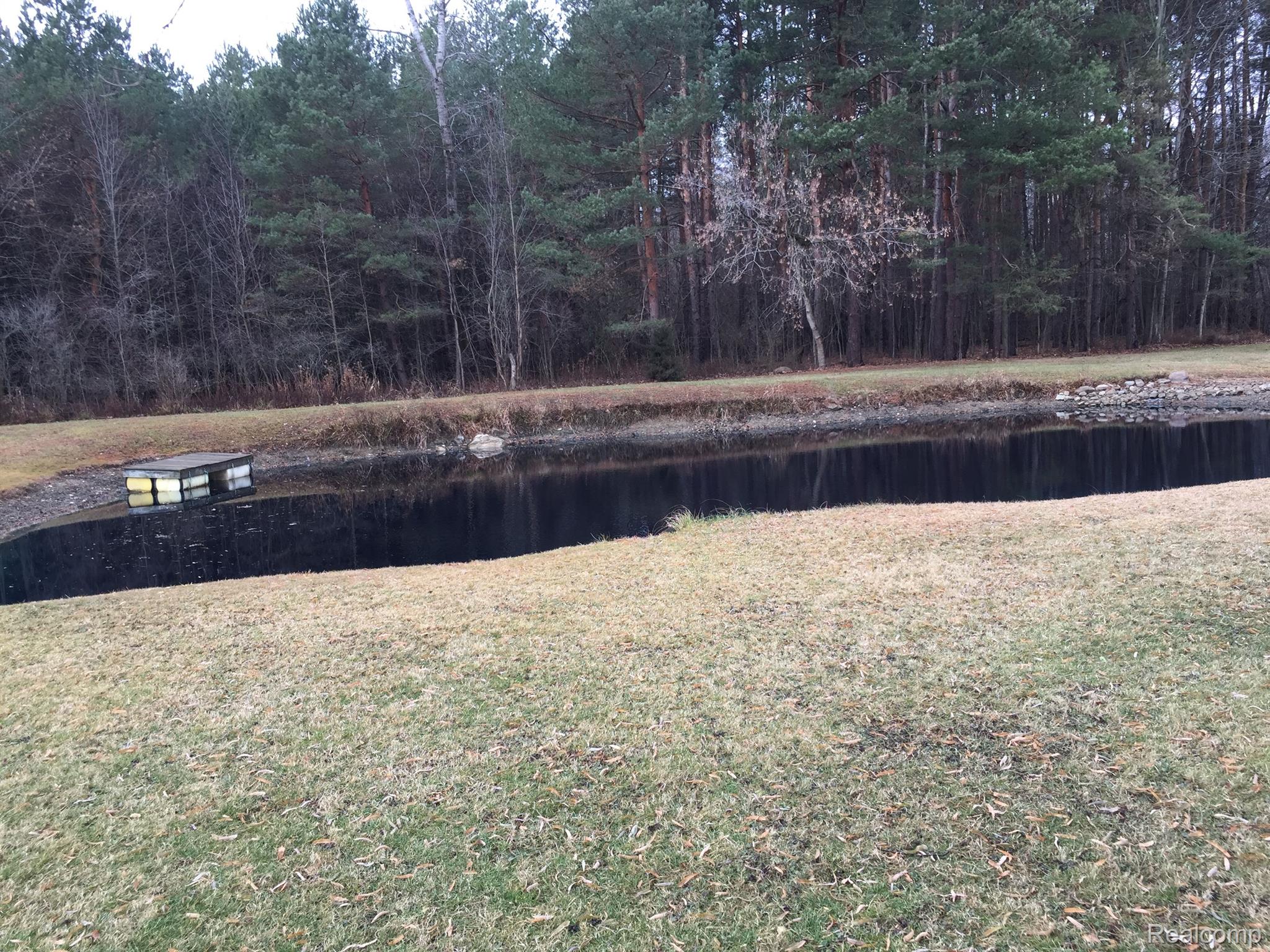 5657 Cribbins Road Avoca, MI 48006 - Photo 57 of 66 Pond
