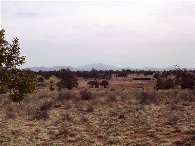 0 Lot 141 South Rim Ranch Williams, AZ 86046 - Photo 8 of 9 Additional Photo