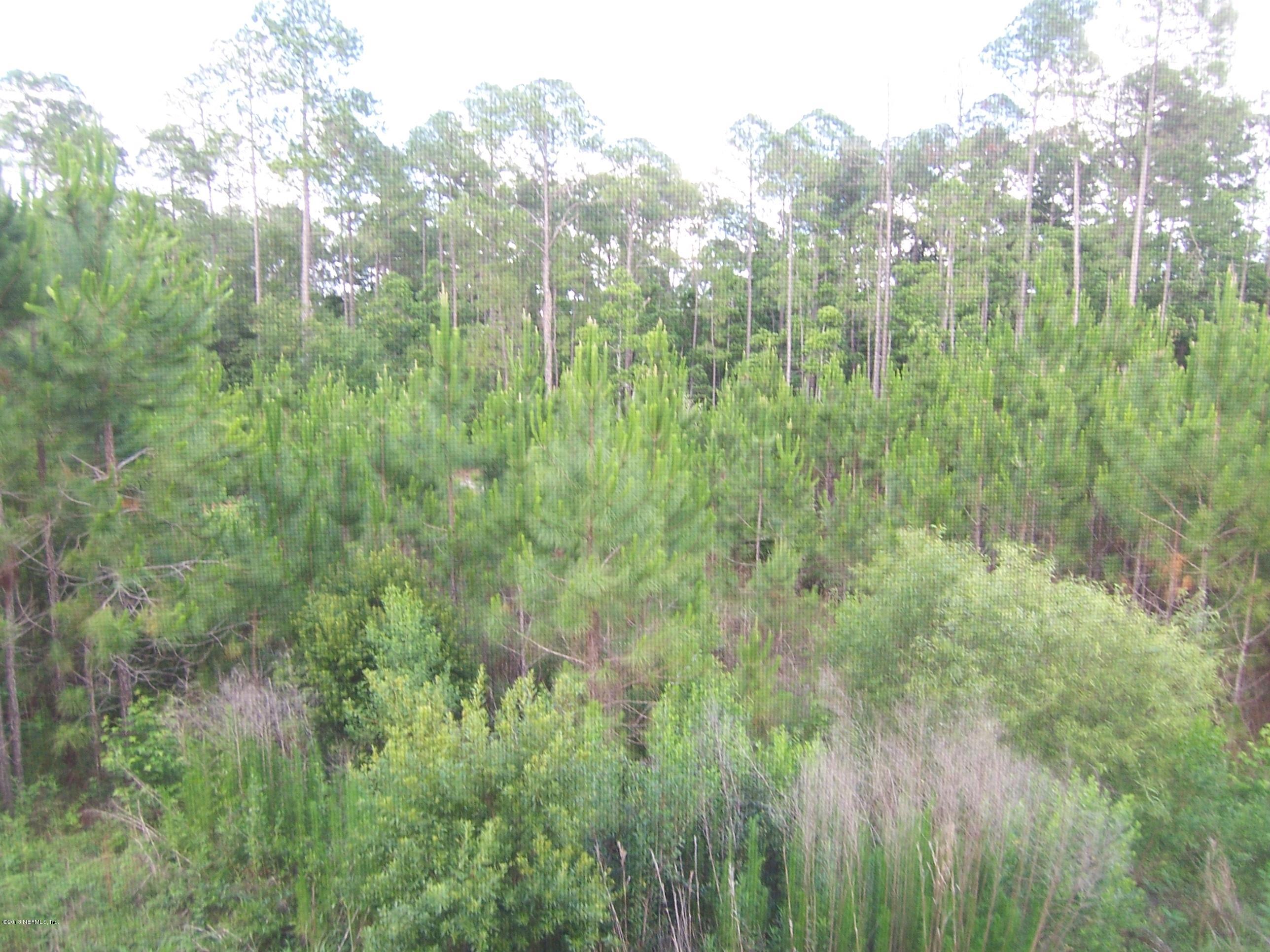 9745 Touchton Road, Unit 930 Jacksonville, FL 32246 - Photo 7 of 27 Wooded View from Lanai