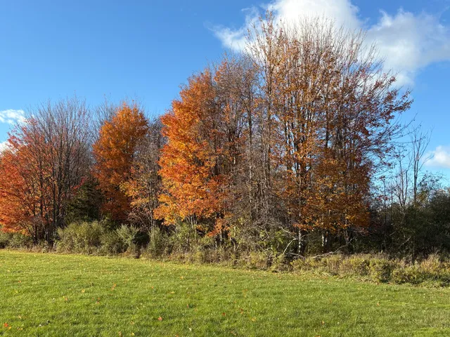 $230,000 | 2930 Blue Star Highway, Douglas, MI 49406