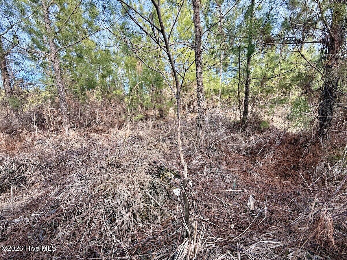 0 Old Washington Road Vanceboro, NC 28586 - Photo 22 of 34 22
