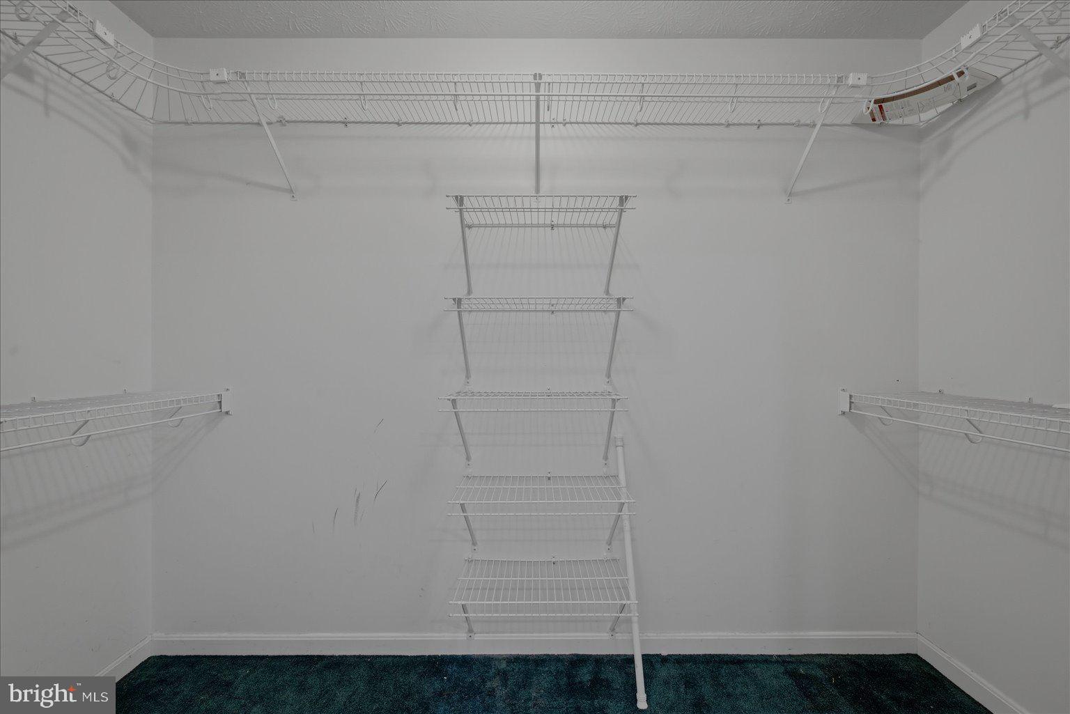 323 South Timber Ridge Road Cross Junction, VA 22625 - Photo 33 of 109 Spacious closet with organized shelving.