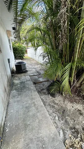 a view of a yard with plants