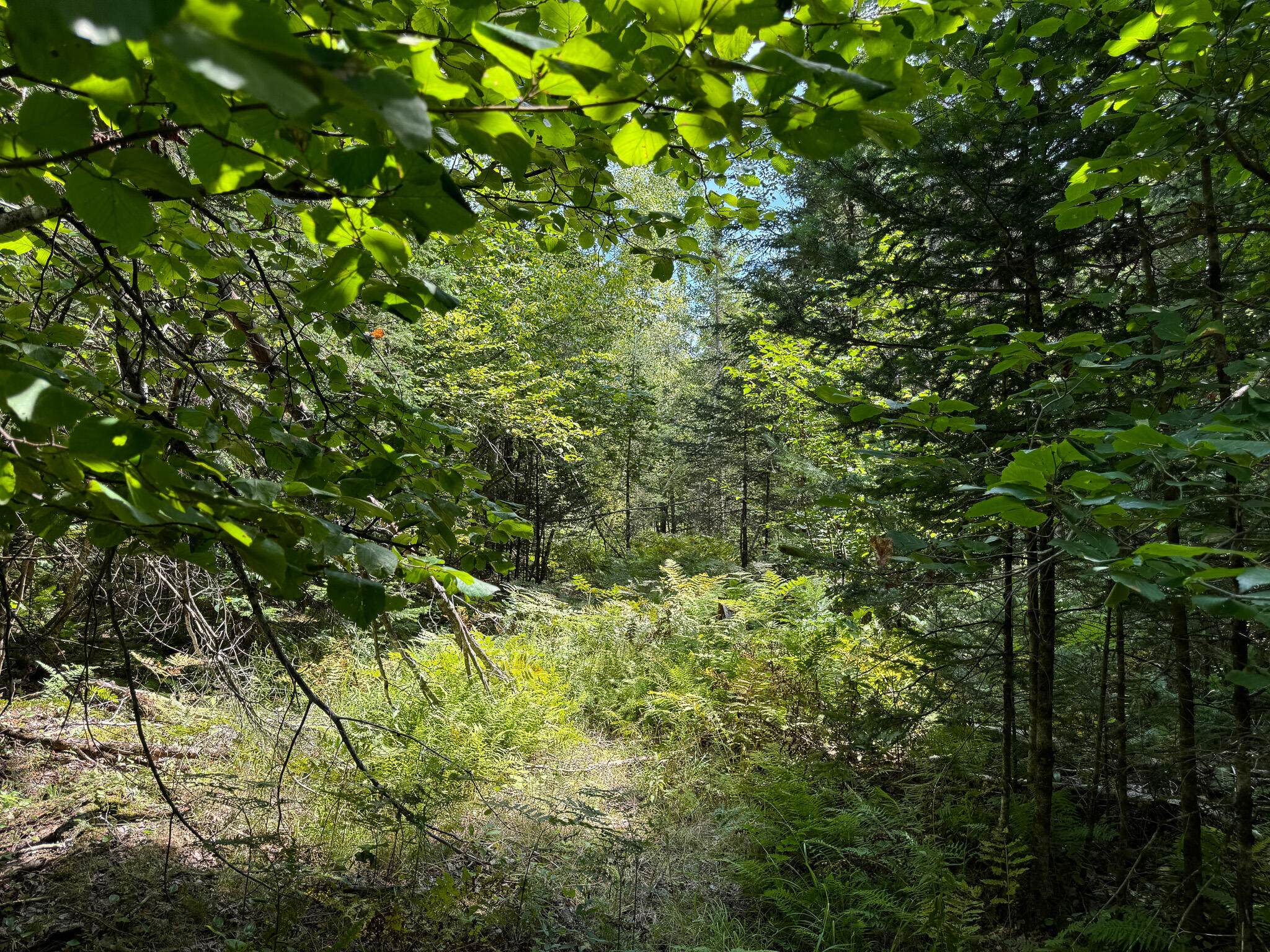 M9-l20-1 Valley Road Etna, ME 04434 - Photo 22 of 33