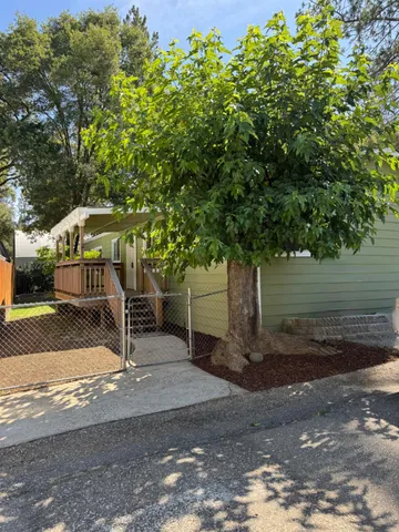 a view of a park with plants