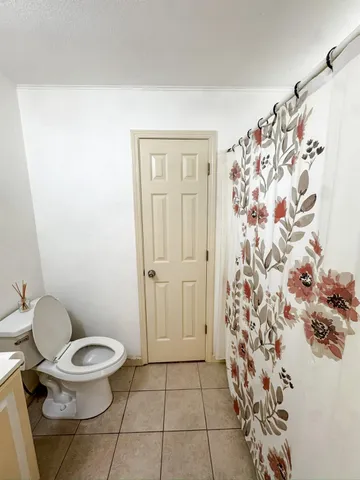 a white toilet sitting next to a shower curtain