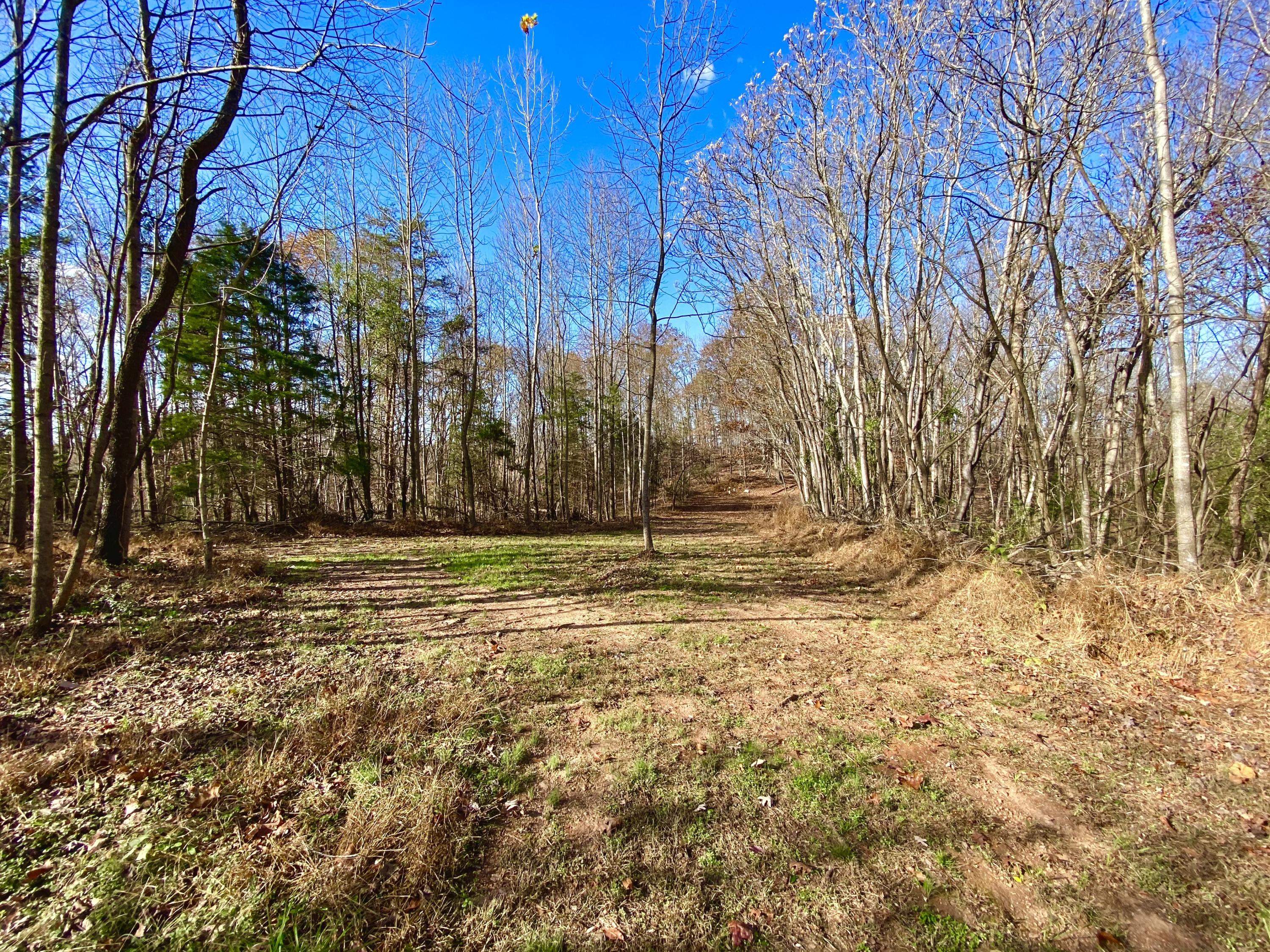 1121 Stone Mill Road Hurt, VA 24563 - Photo 19 of 28 a view of dirt field with trees