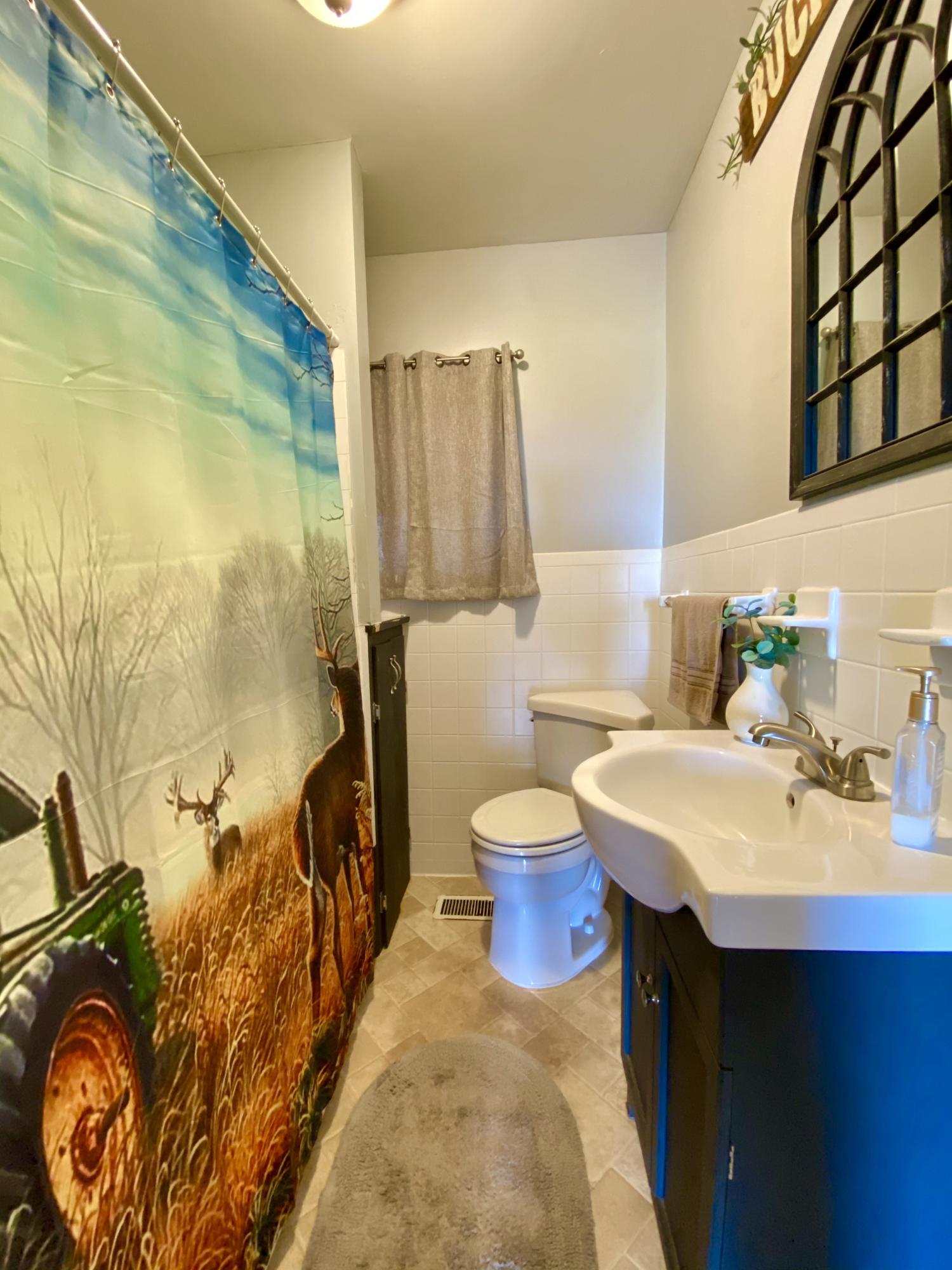 1121 Stone Mill Road Hurt, VA 24563 - Photo 24 of 28 a bathroom with a sink and a mirror