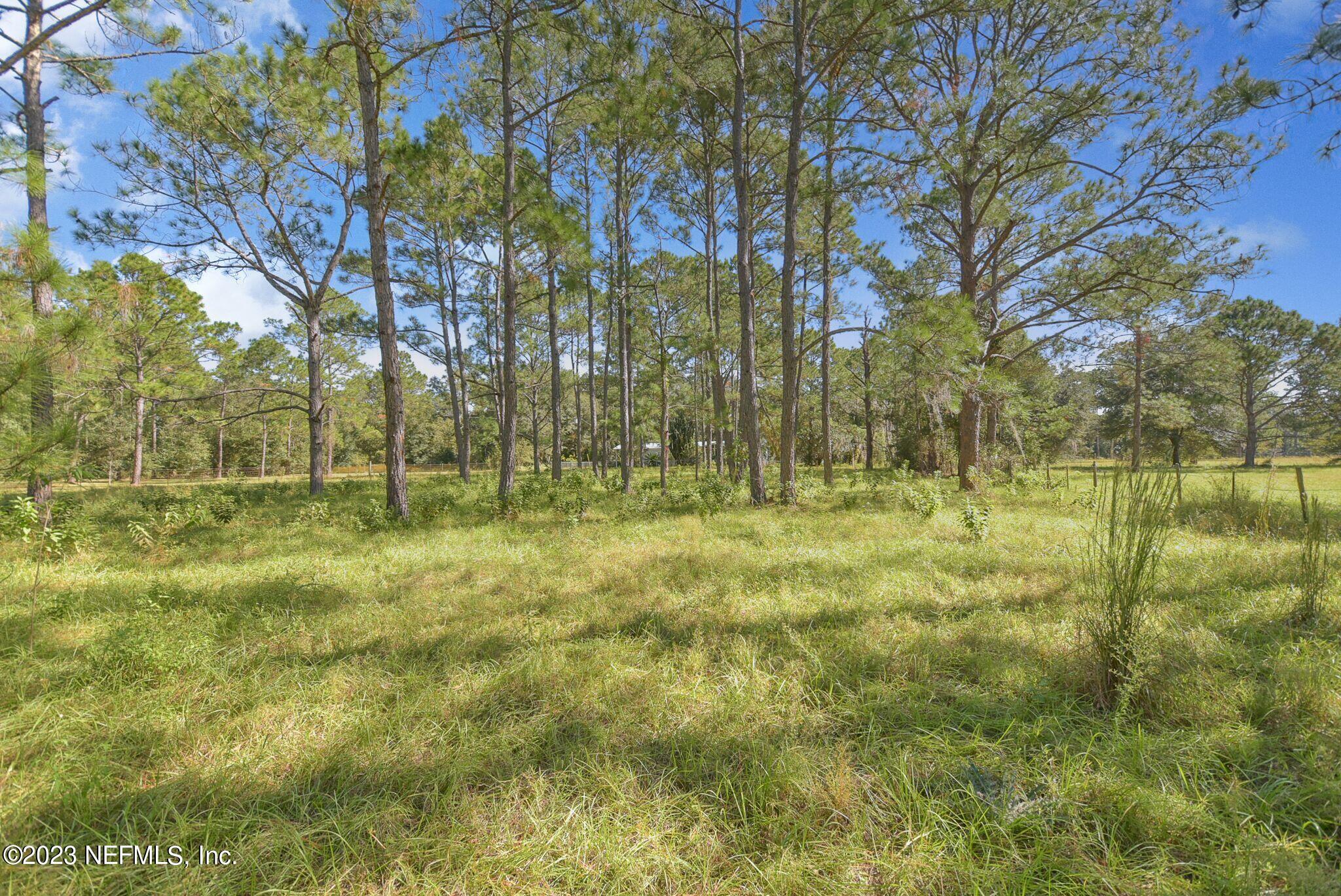 136 Lawrence Lane Georgetown, FL 32139 - Photo 7 of 33 a view of backyard with green space