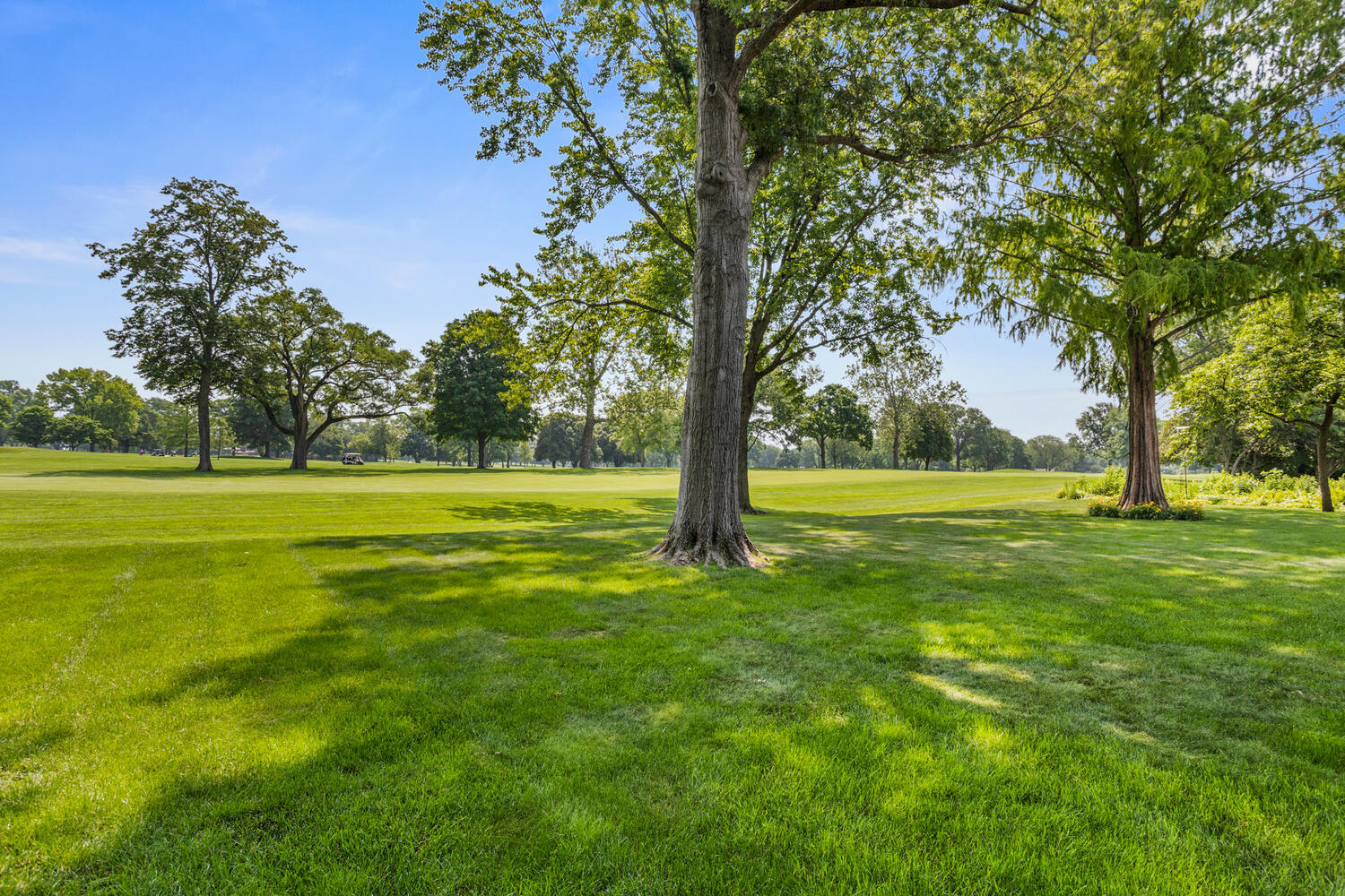1106 Country Lane Champaign, IL 61821 - Photo 16 of 80 Gallery Image 16