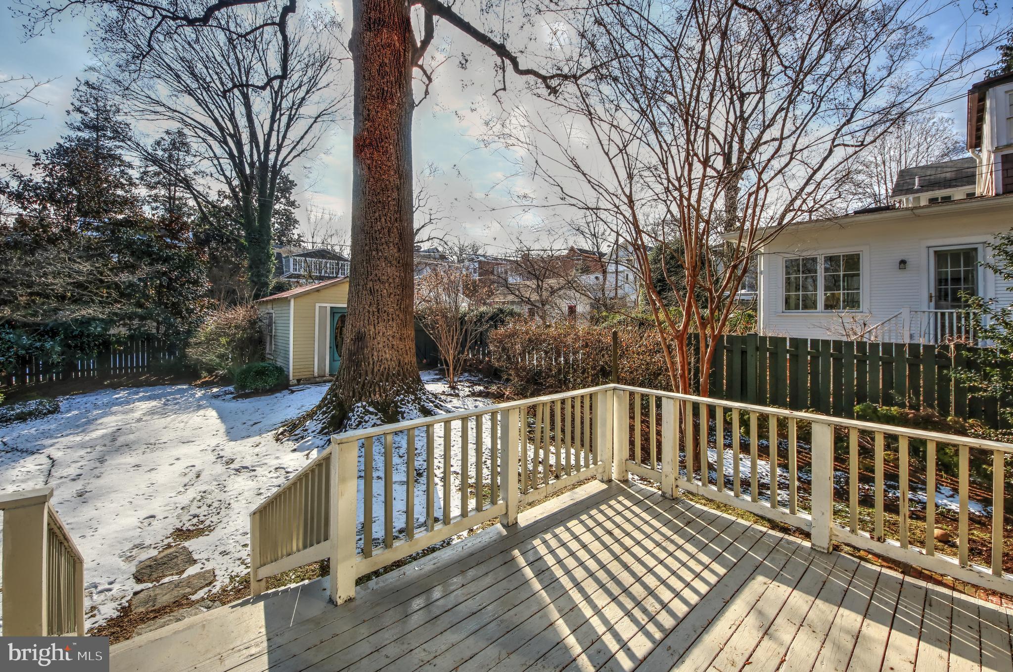 3414 Rodman Street Northwest Washington, DC 20008 - Photo 32 of 64 Spacious, level back yard w/ beautiful landscaping