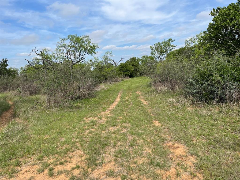 2190 West Fm 574 Road West Mullin, TX 76864 - Photo 16 of 40 land