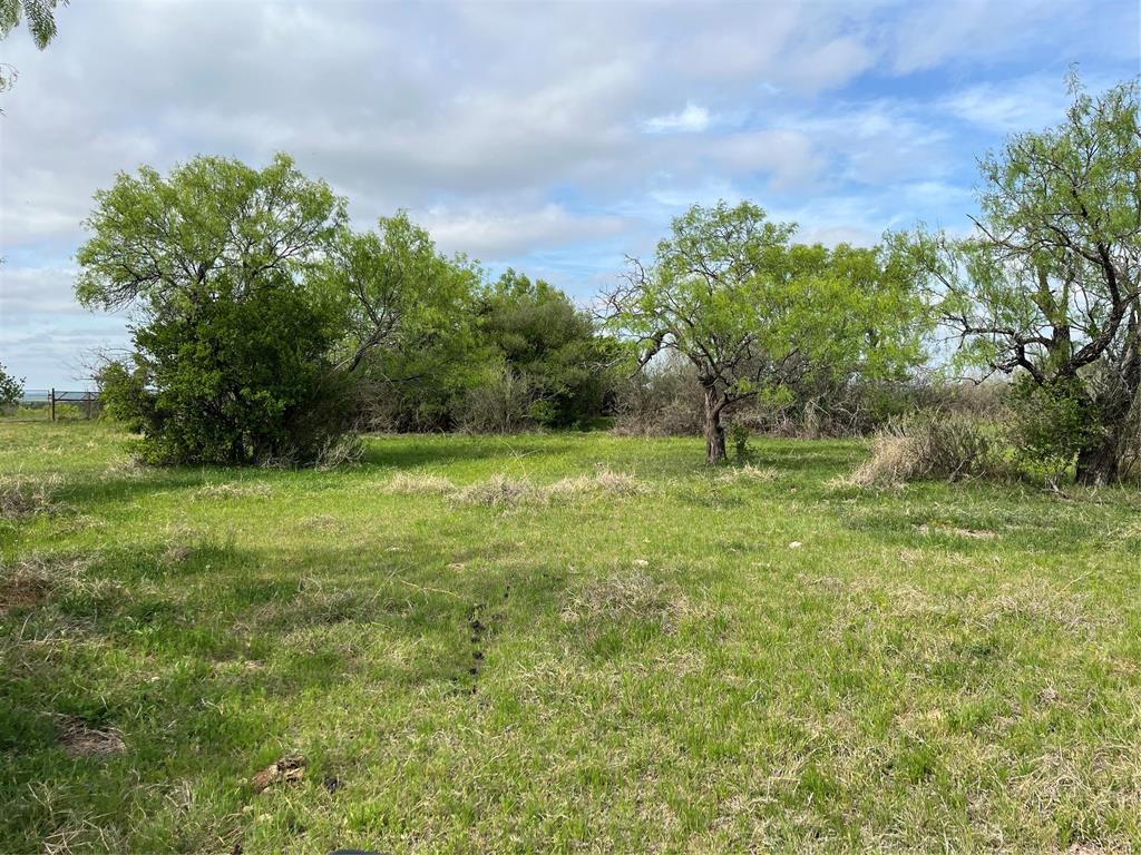 2190 West Fm 574 Road West Mullin, TX 76864 - Photo 17 of 40 land