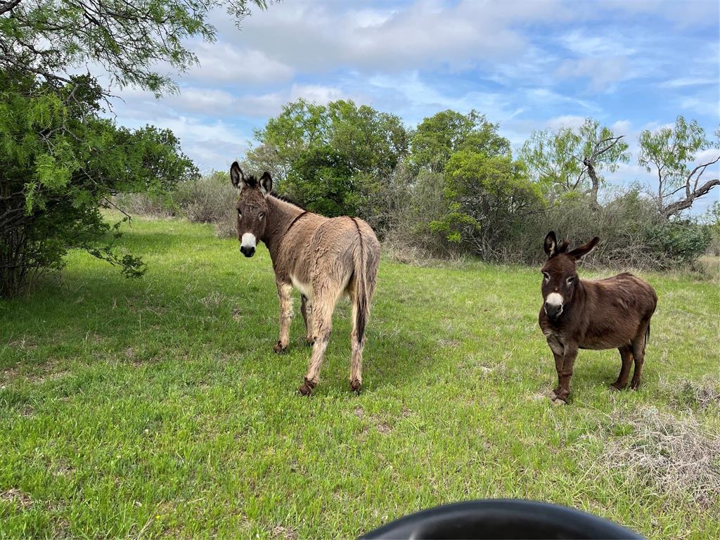 2190 West Fm 574 Road West Mullin, TX 76864 - Photo 18 of 40