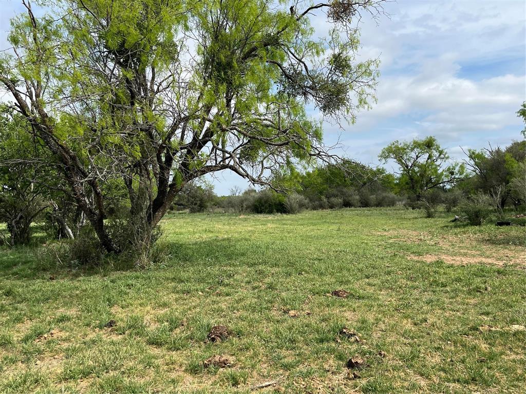 2190 West Fm 574 Road West Mullin, TX 76864 - Photo 23 of 40 land