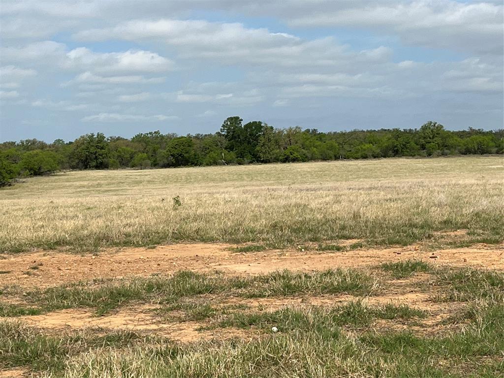 2190 West Fm 574 Road West Mullin, TX 76864 - Photo 25 of 40 coastal & native grass field