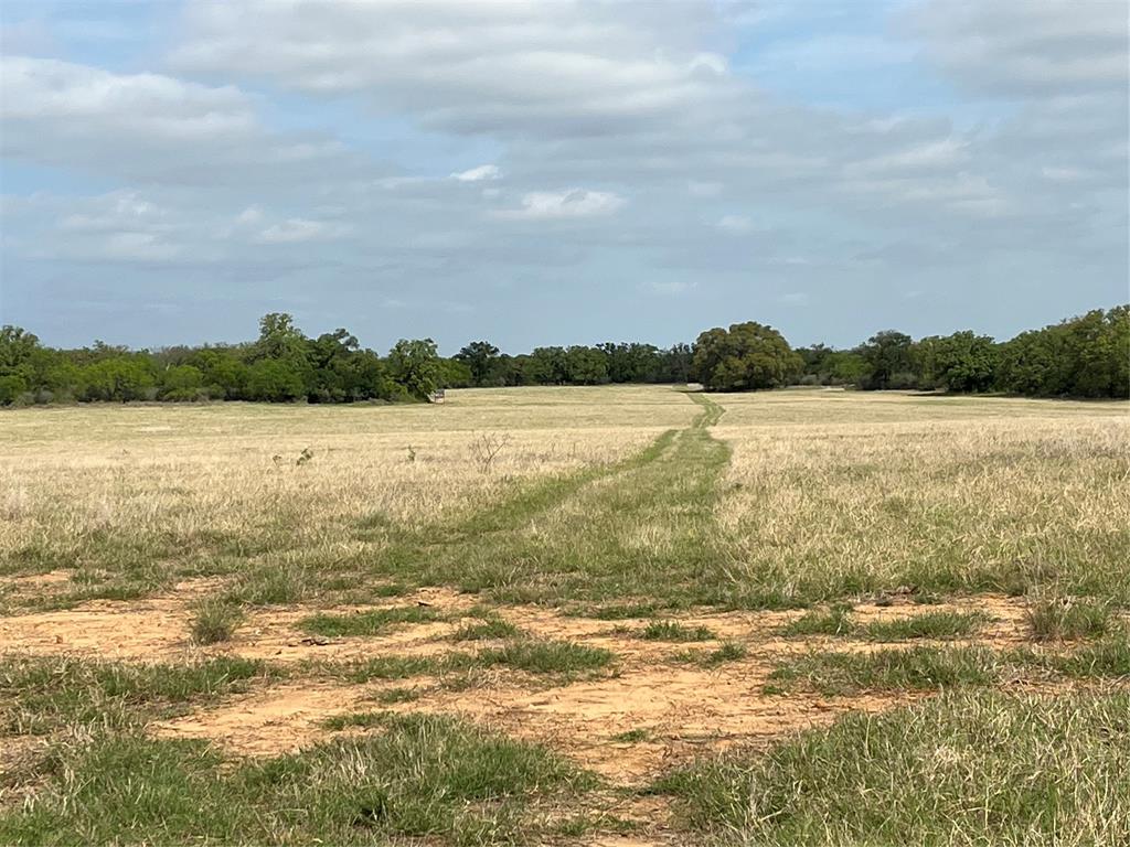 2190 West Fm 574 Road West Mullin, TX 76864 - Photo 26 of 40 Coastal & native grass field