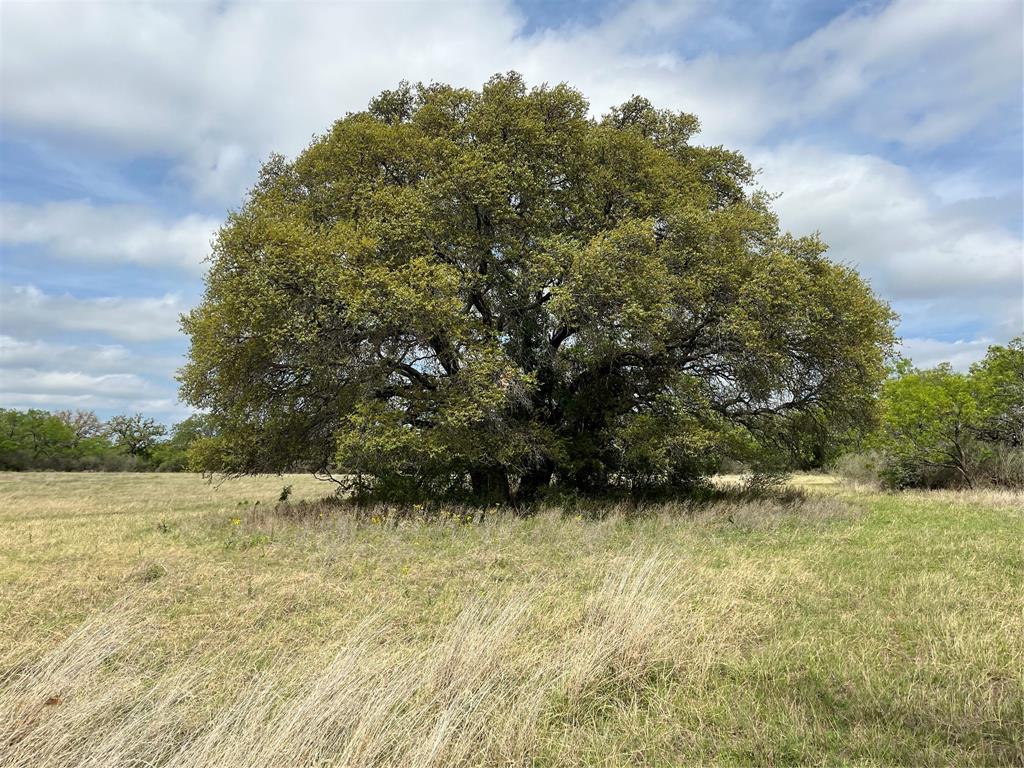 2190 West Fm 574 Road West Mullin, TX 76864 - Photo 28 of 40 field