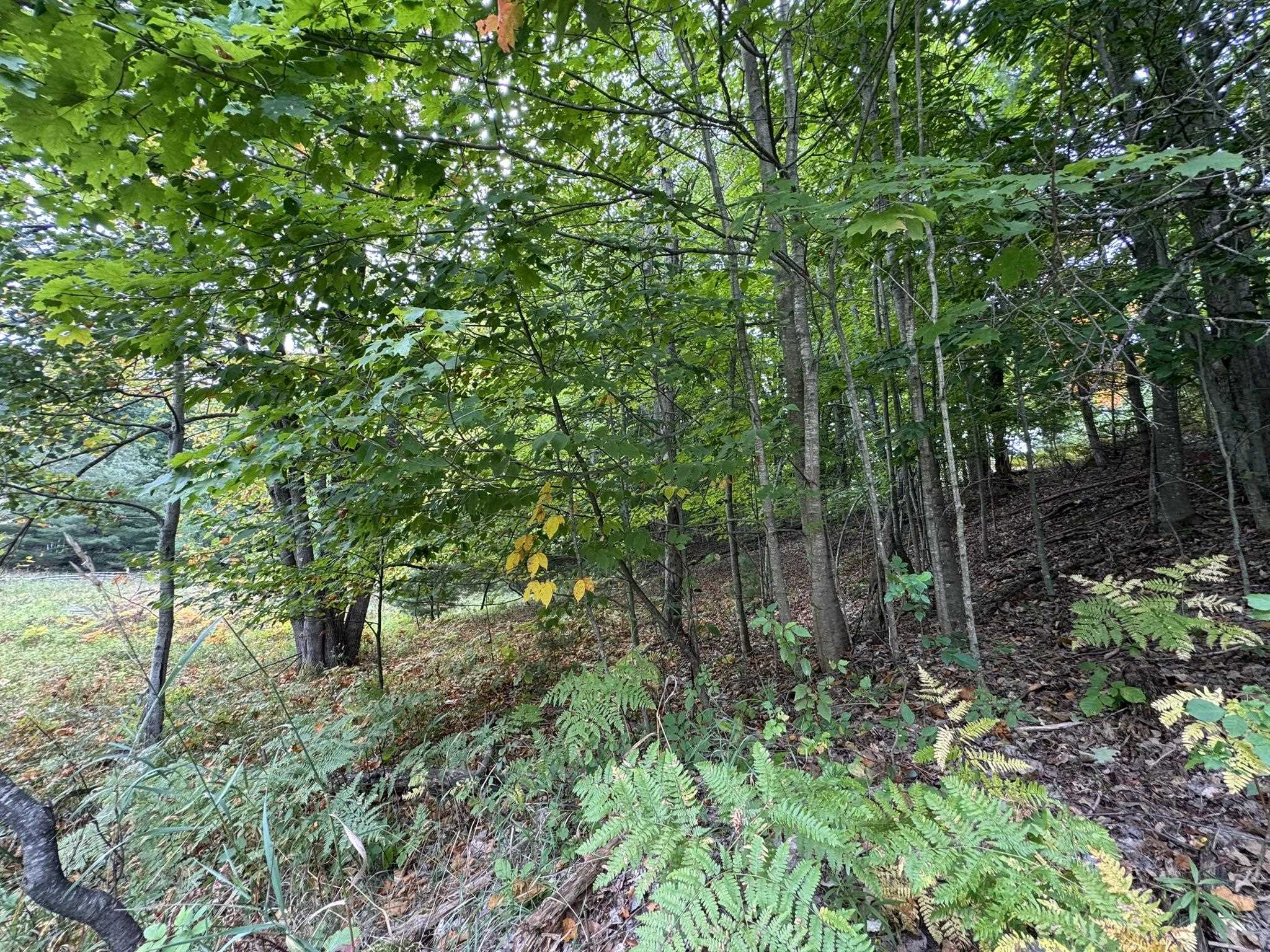 Lot 5 East Old Mountain Road, Unit LOT: 5 Cedar, MI 49621 - Photo 5 of 10