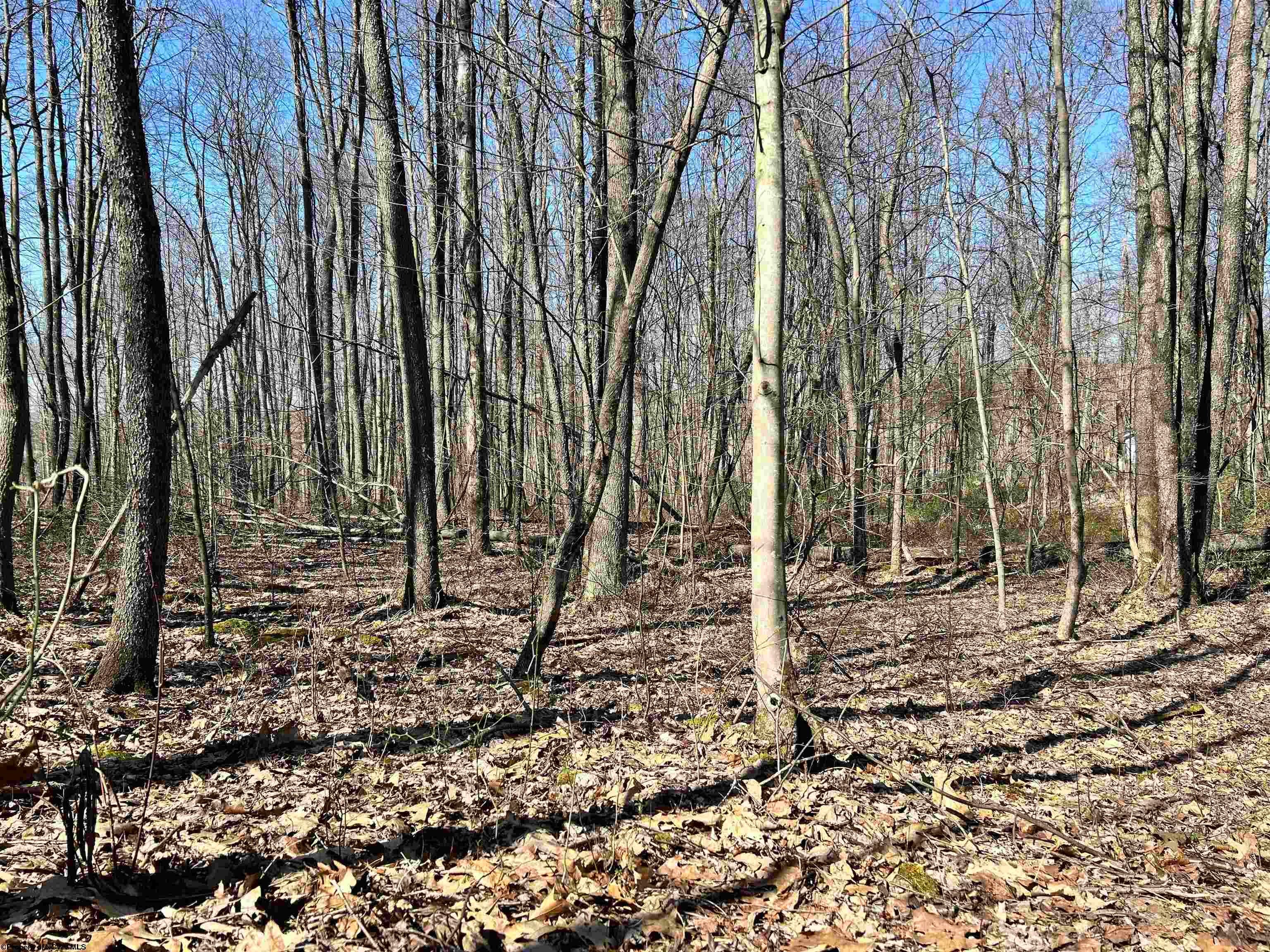 Tbd Dogtown Road Reedsville, WV 26547 - Photo 2 of 4 Gallery Image 2