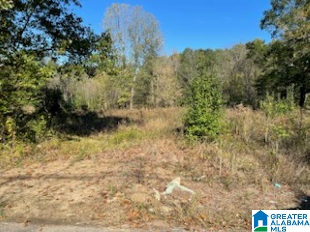 30 Bannerman Road Southwest, Unit LOTS 7 & Bessemer, AL 35022 - Photo 4 of 6