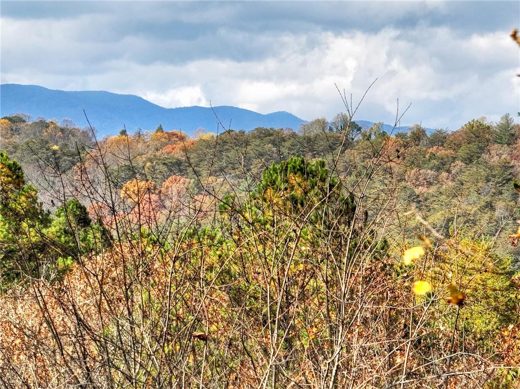 100 Arrow Way Mineral Bluff, GA 30559 - Photo 23 of 53