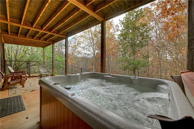 a view of a forest with large trees