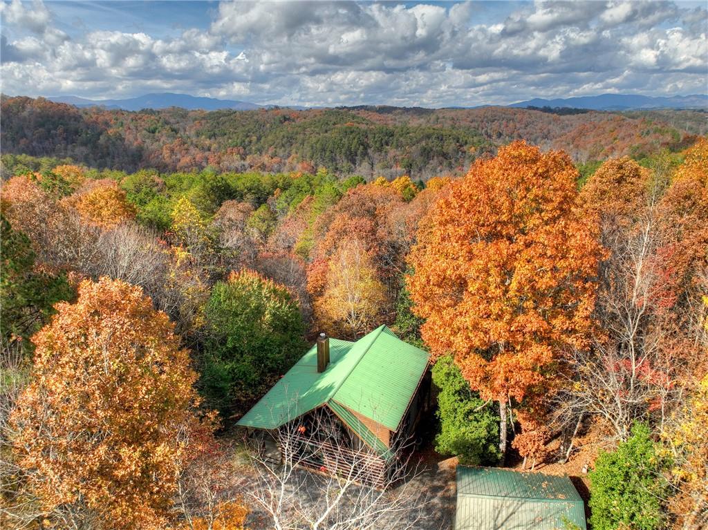 100 Arrow Way Mineral Bluff, GA 30559 - Photo 51 of 53