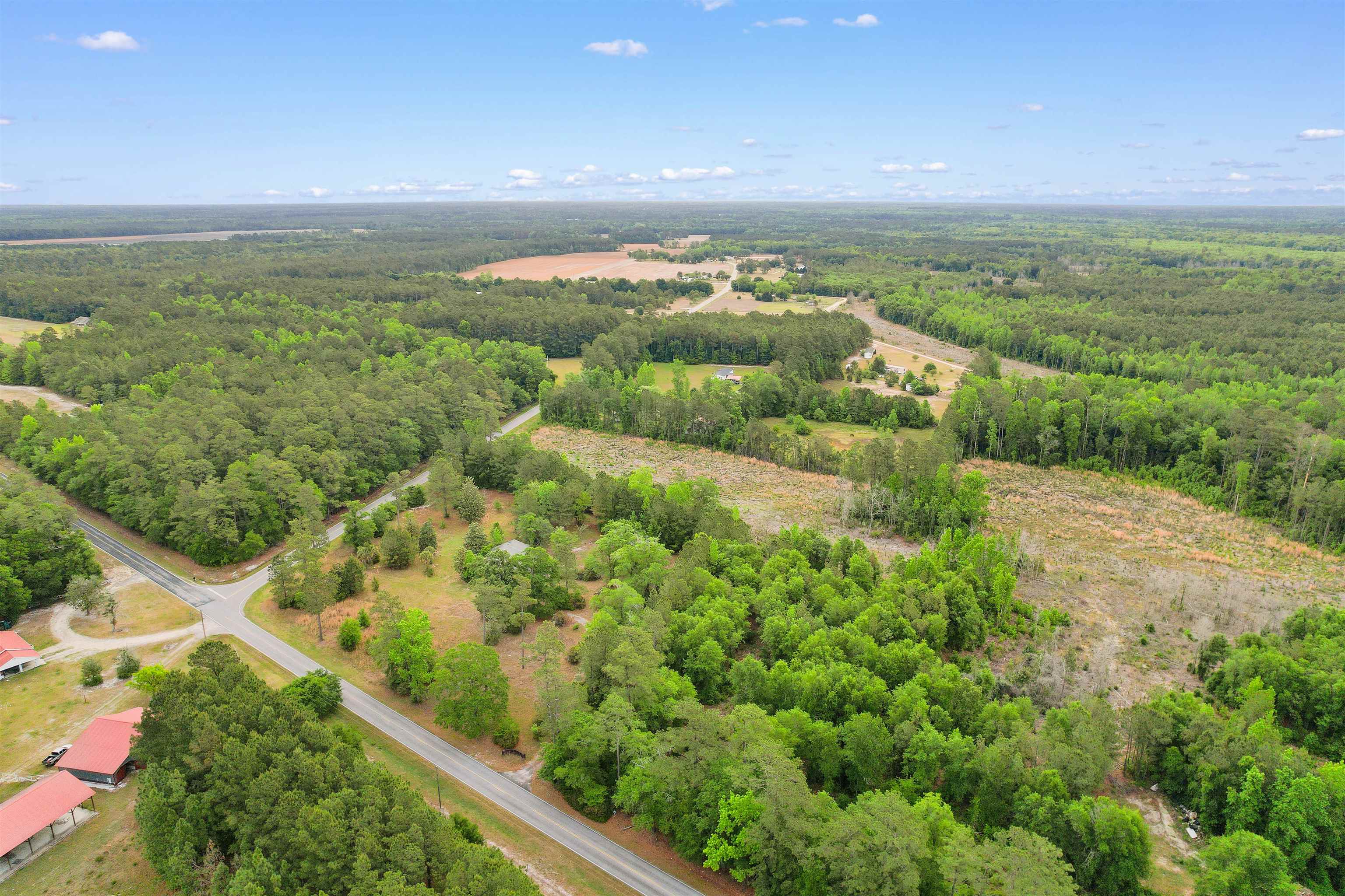 10201 Lake Swamp Road Nichols, SC 29581 - Photo 41 of 46 Gallery Image 41