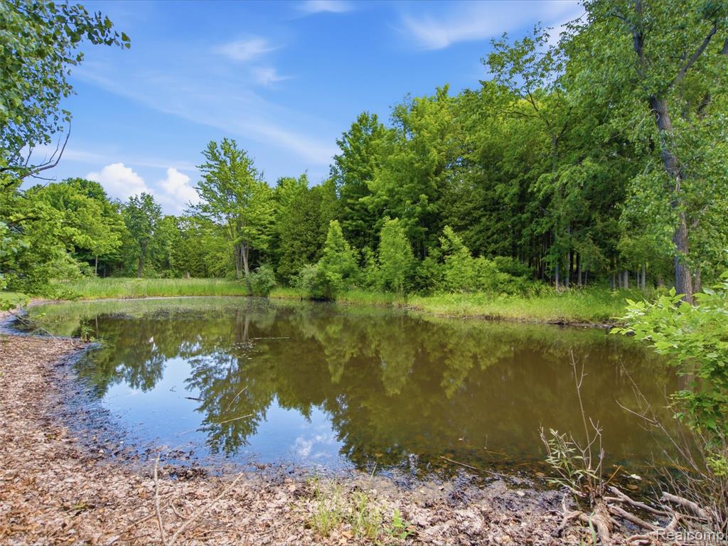 5449 Lum Road Attica, MI 48412 - Photo 70 of 82