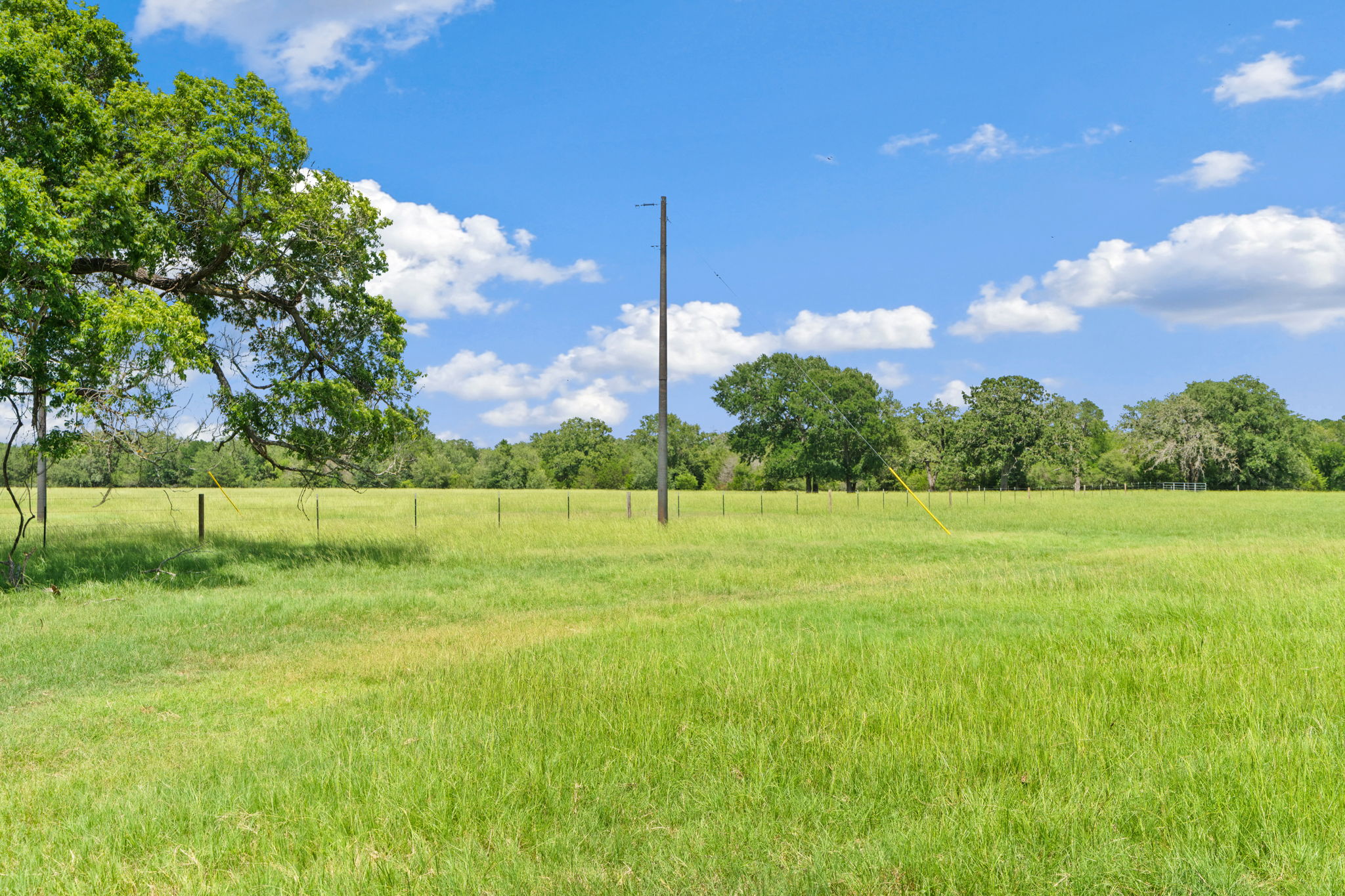 Tbd Tbd Street Paige, TX 78659 - Photo 3 of 14 View of yard featuring a rural view