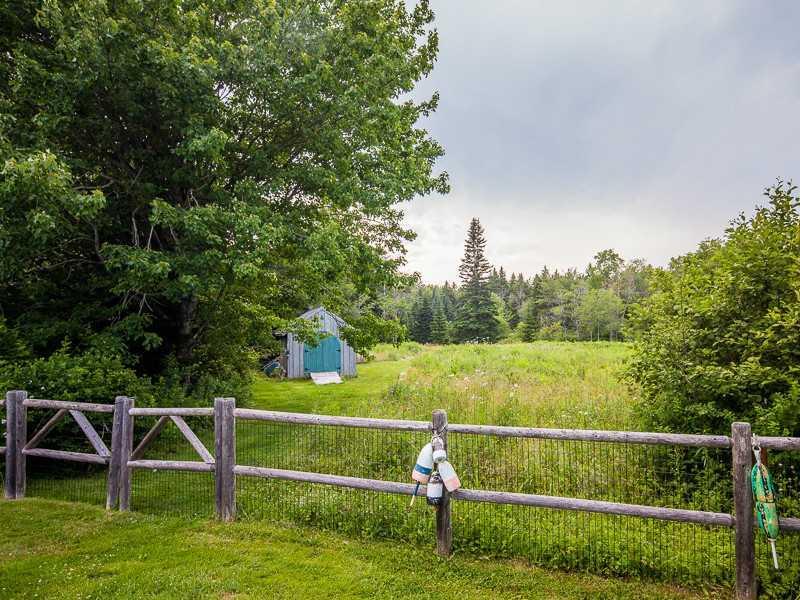 387 Port Clyde Road St. George, ME 04860 - Photo 22 of 26 Yard/Garden.