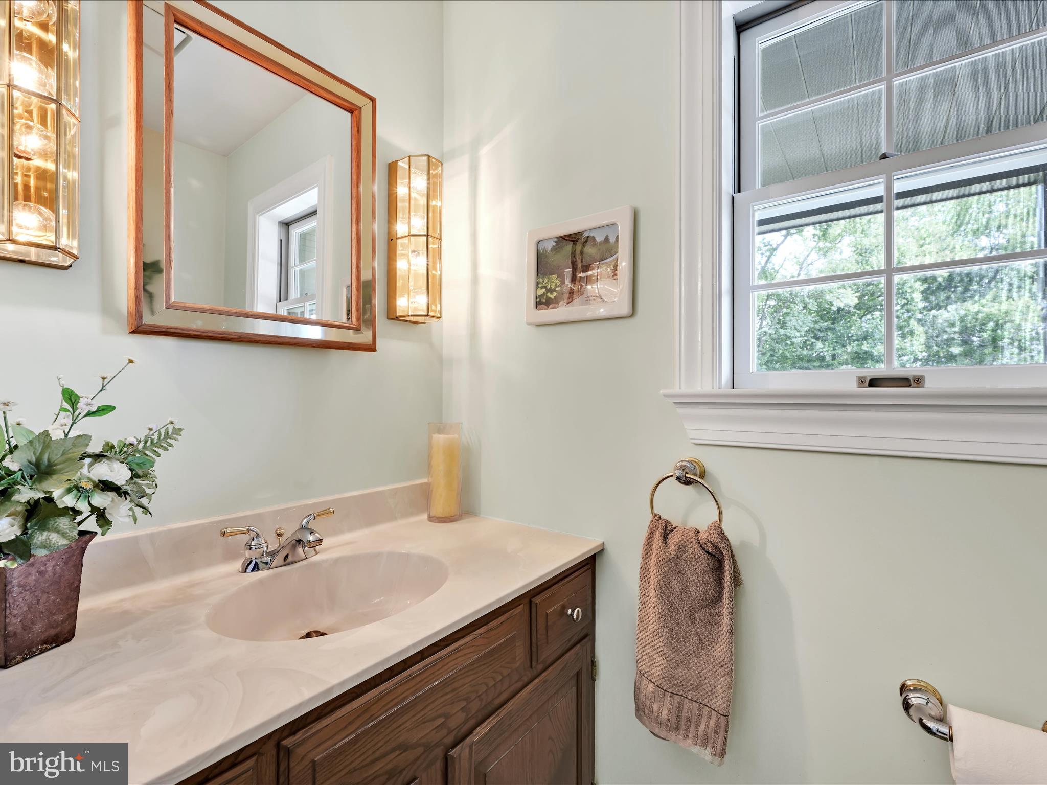 350 Indian Run Road Stevens, PA 17578 - Photo 20 of 72 a bathroom with a sink and a mirror