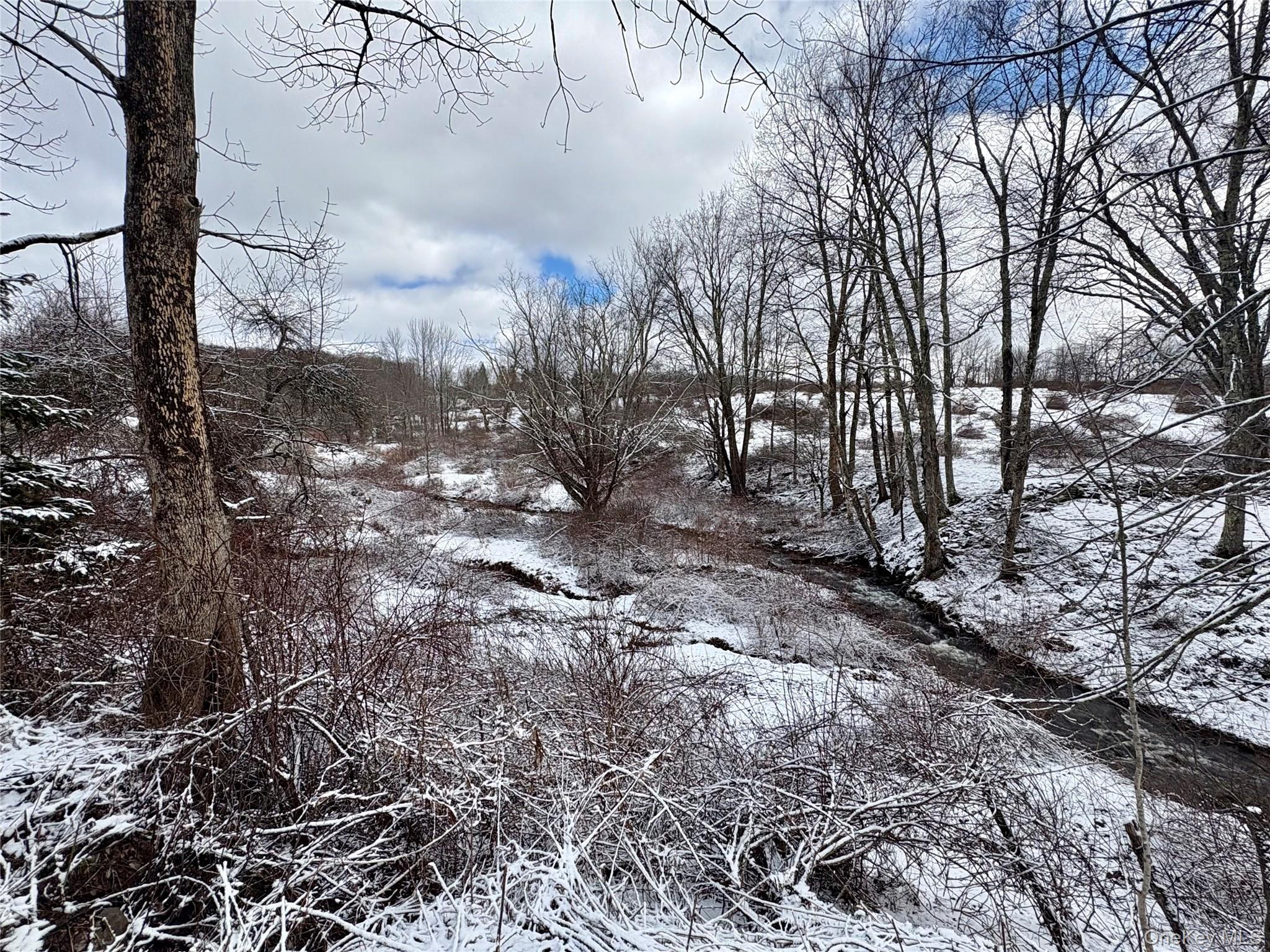14 Frelich Rd/t R 28 Fremont Center, NY 12736 - Photo 11 of 47