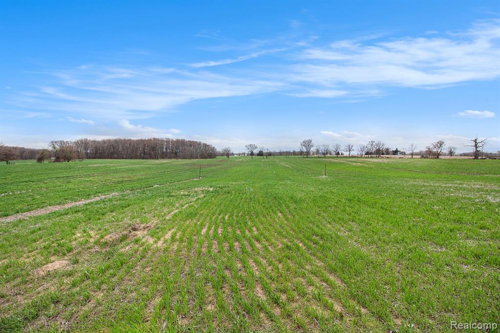 2 Mohrle Road Fowlerville, MI 48836 - Photo 18 of 18
