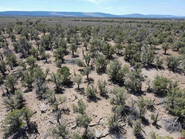 a view of a field with trees in background