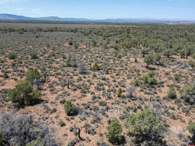 $74,900 | Tbd Highway 141 Highway, Redvale, CO 81431