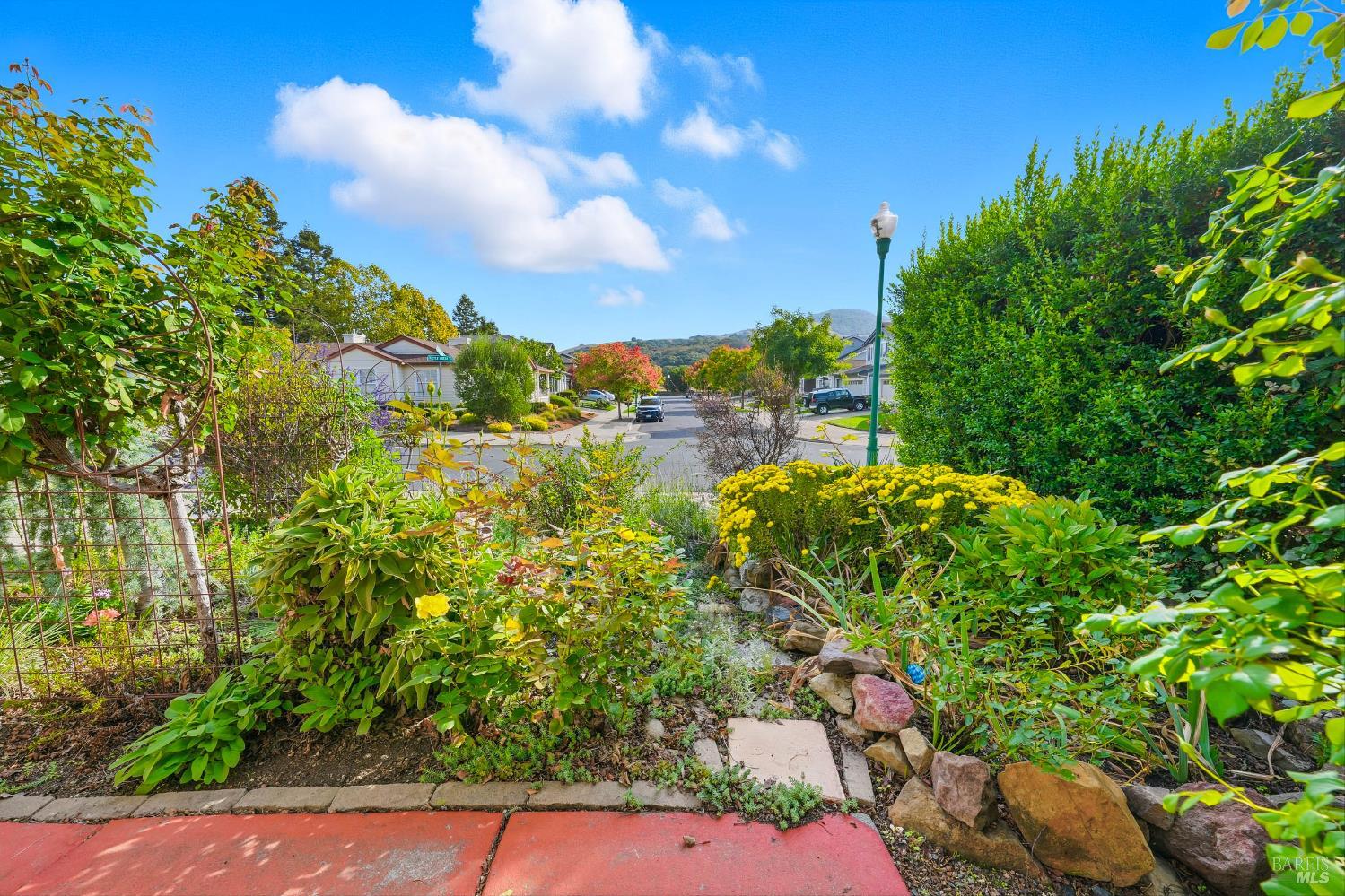 2545 Thistle Creek Street Santa Rosa, CA 95404 - Photo 41 of 59 a view of a garden