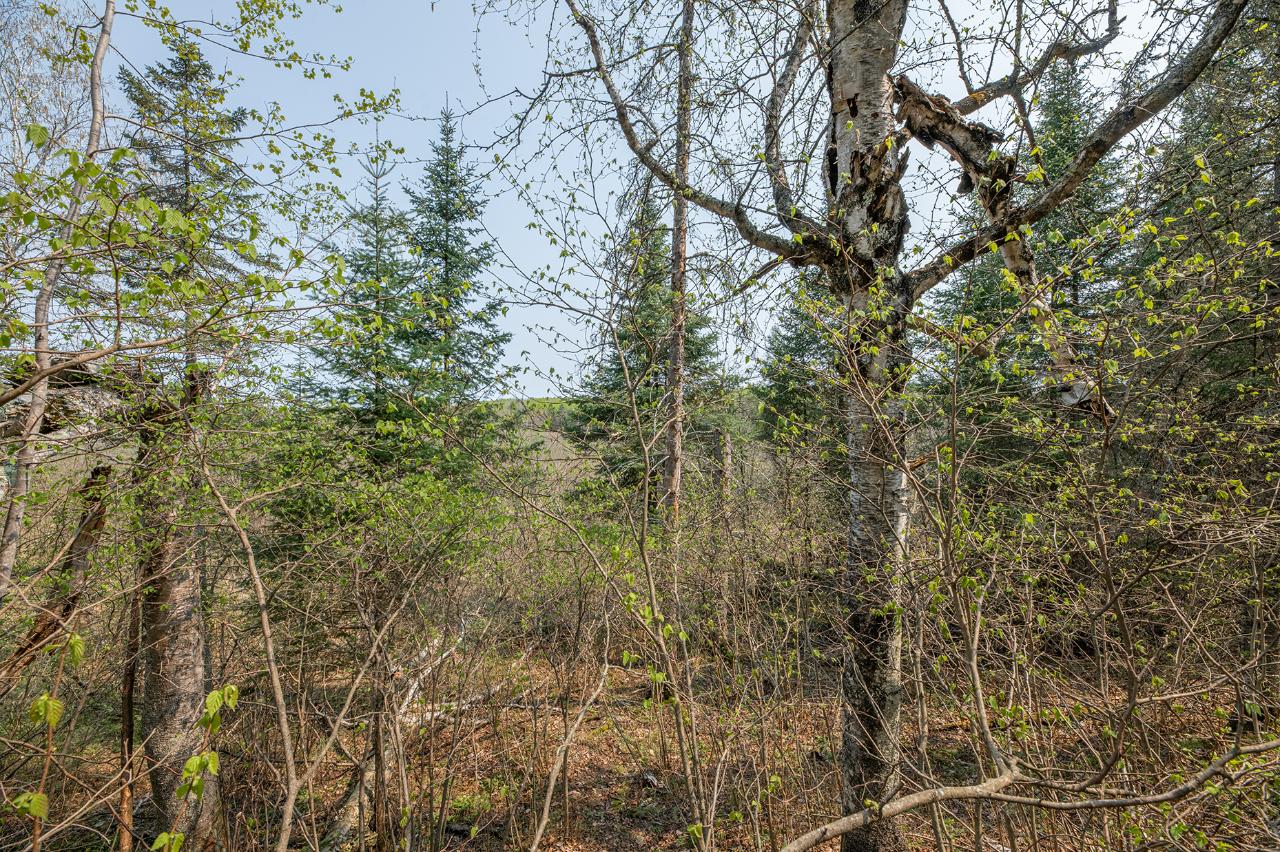 On Frontier Road Presque Isle, WI 54557 - Photo 11 of 42 Gallery Image 11