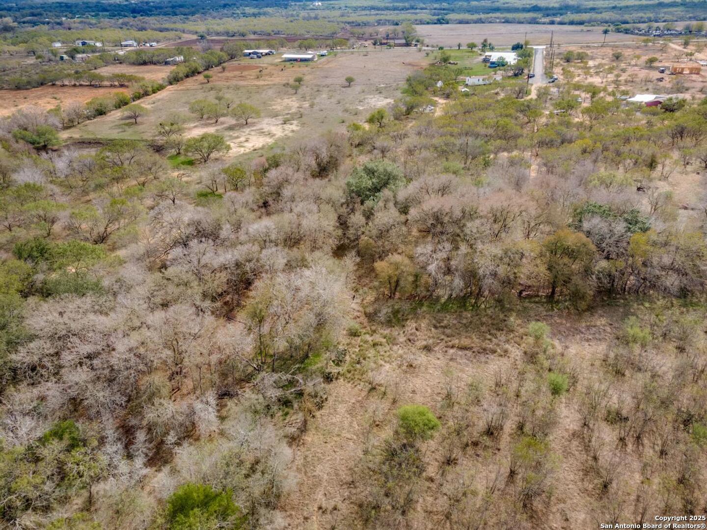 13993 Jarratt Road Atascosa, TX 78002 - Photo 2 of 8 a view of a yard