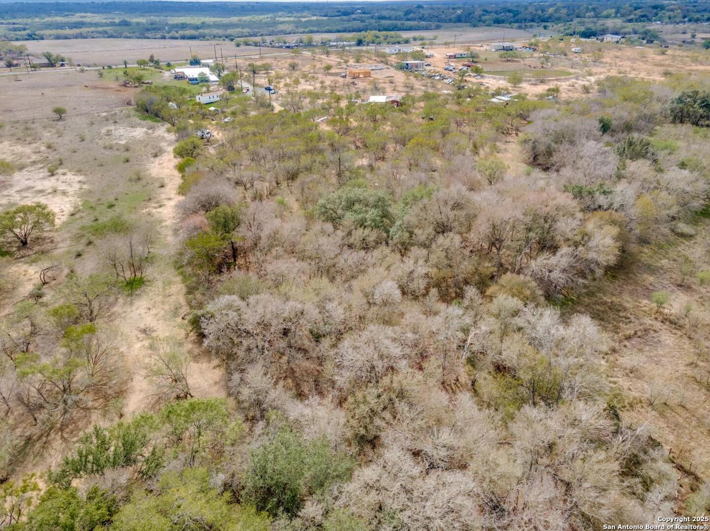 13993 Jarratt Road Atascosa, TX 78002 - Photo 3 of 8 a view of a yard with a dry plant