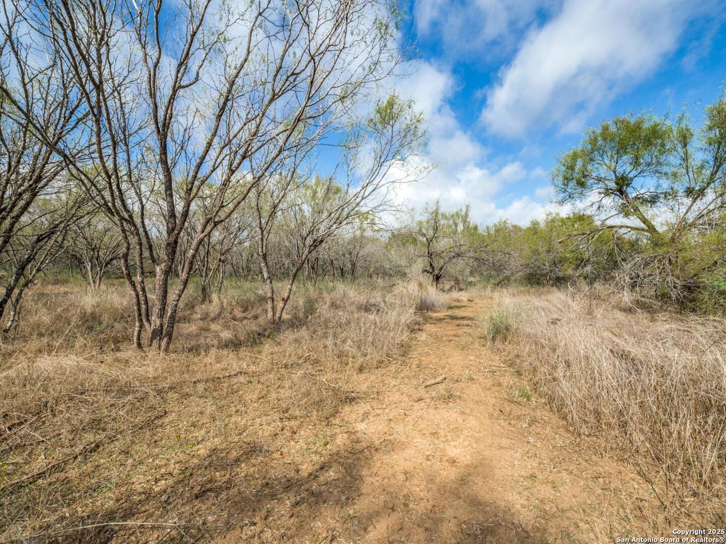 13993 Jarratt Road Atascosa, TX 78002 - Photo 7 of 8 a view of a yard with trees