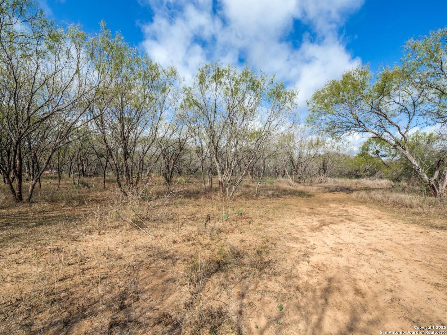 13993 Jarratt Road Atascosa, TX 78002 - Photo 8 of 8 a view of yard with trees