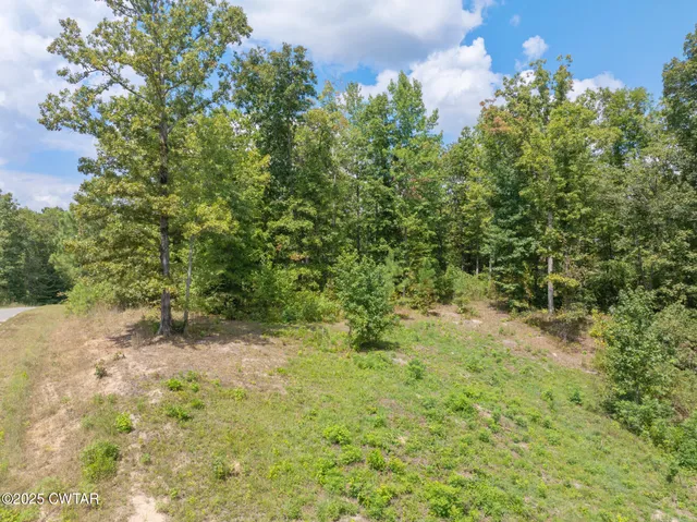 $17,500 | Lot 11 Libby Circle, Lexington, TN 38351