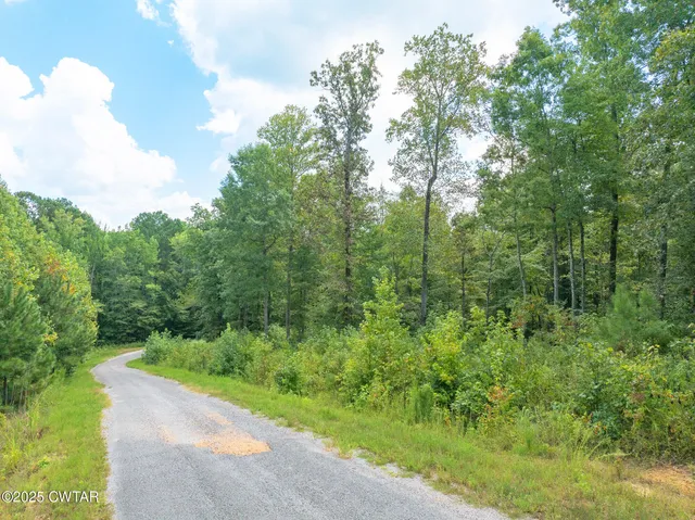 $17,500 | Lot 11 Libby Circle, Lexington, TN 38351