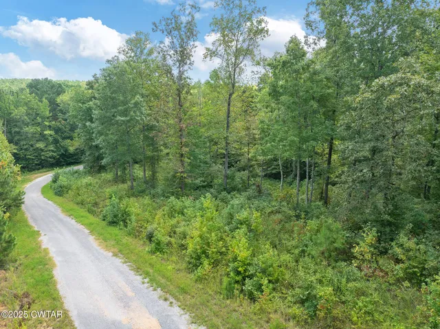 $17,500 | Lot 11 Libby Circle, Lexington, TN 38351