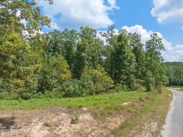 $17,500 | Lot 11 Libby Circle, Lexington, TN 38351