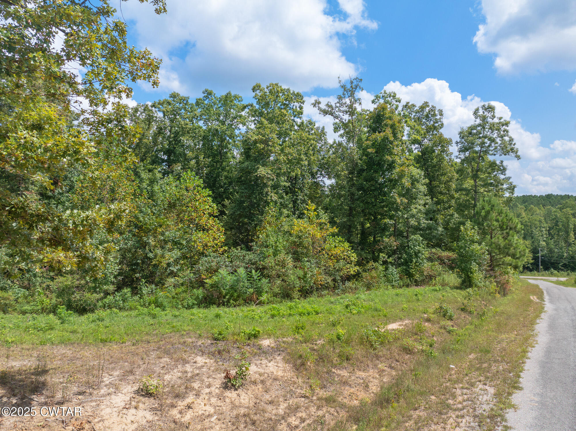 Lot 11 Libby Circle Lexington, TN 38351 - Photo 10 of 19 DJI_20250822120657_0179_D