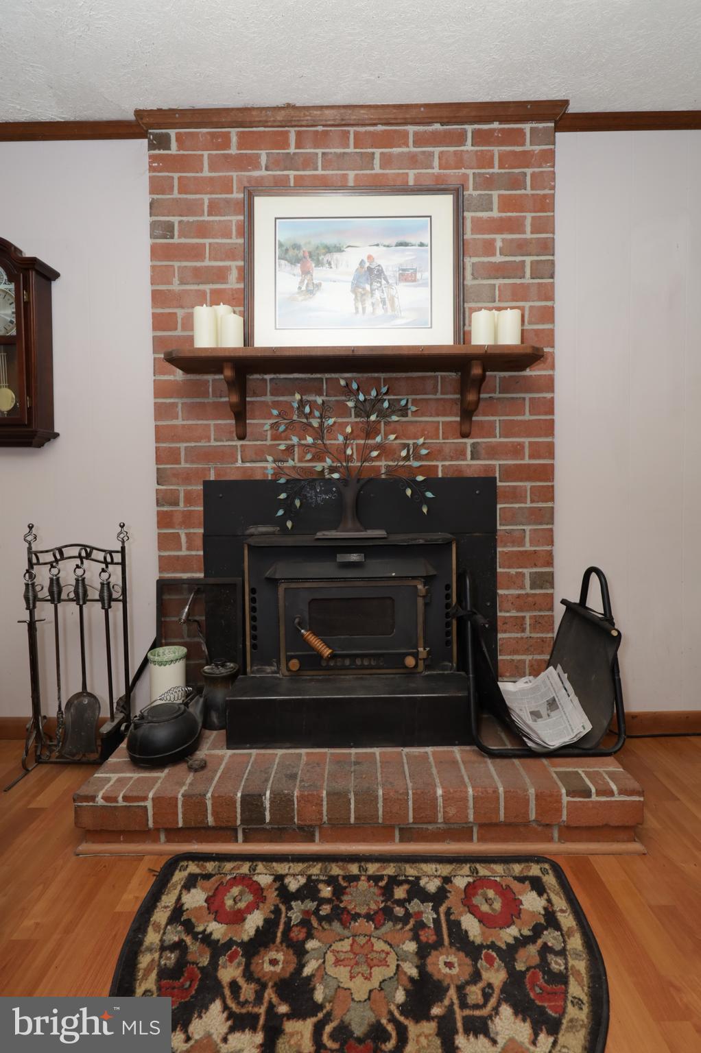 8611 Weems Road Manassas, VA 20110 - Photo 26 of 46 Woodstove insert in LL Fireplace